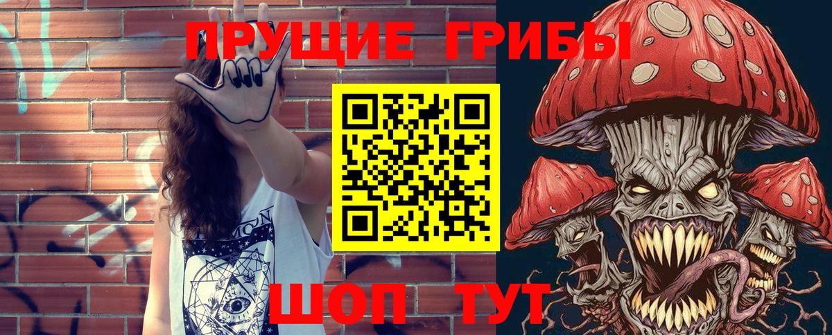 Псилоцибиновые грибы Cubensis Геленджик