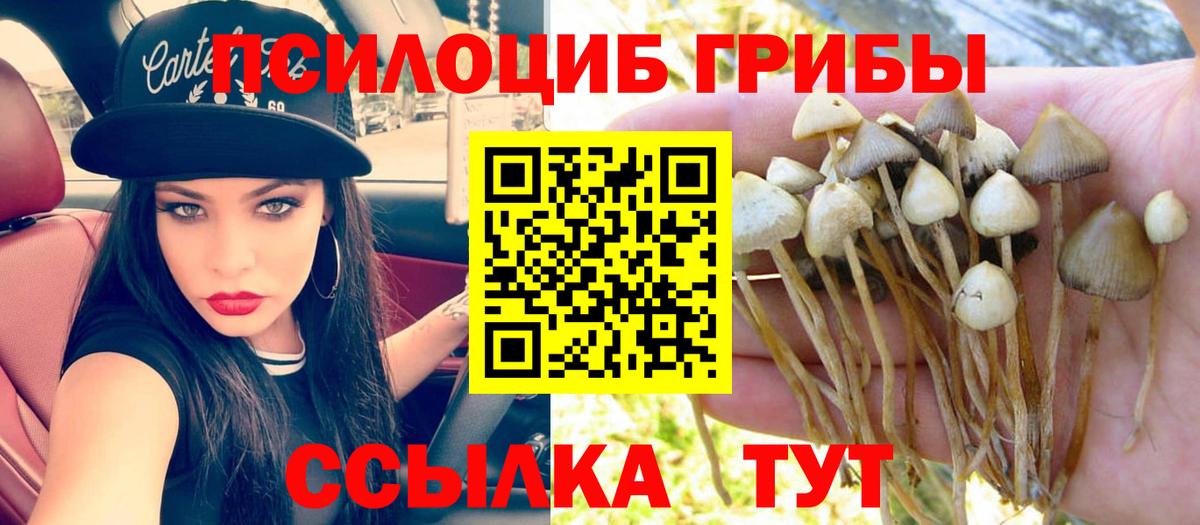 Псилоцибиновые грибы прущие грибы  купить наркотики цена  Геленджик  Галлюциногенные грибы мицелий  Вход с VPN 
